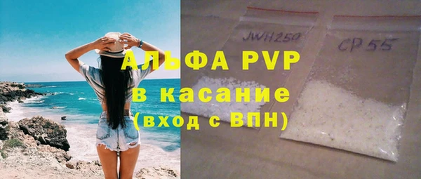 стаф Инсар