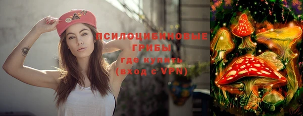 гидропоника Иннополис