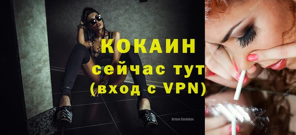стафф Инта