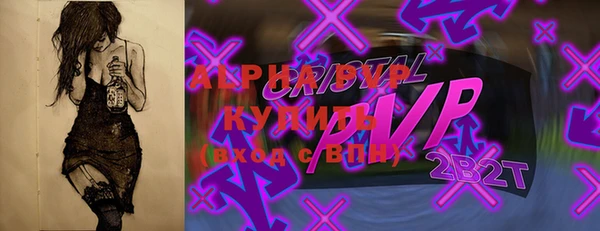 стаф Инсар