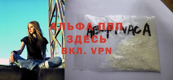 стафф Инта