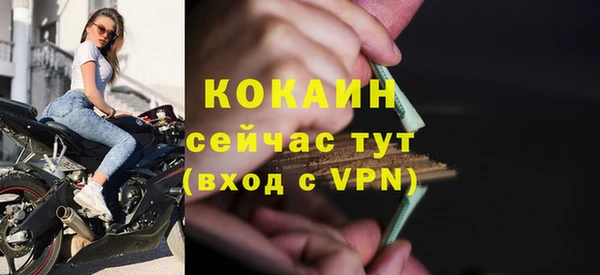 стаф Инсар