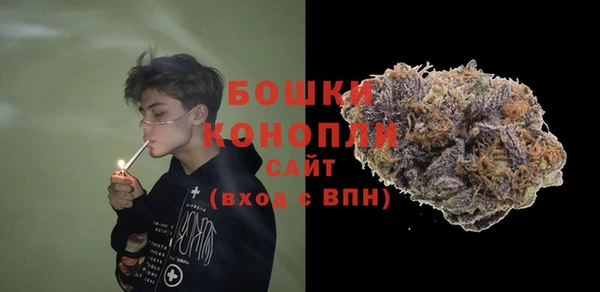 гидропоника Иннополис