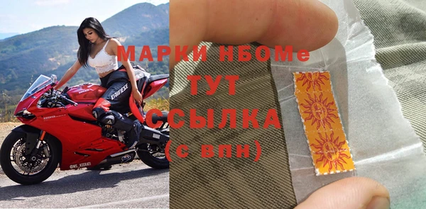 стафф Инта
