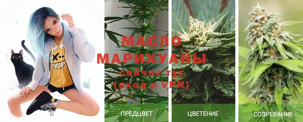 стаф Инсар