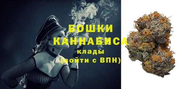 гидропоника Иннополис