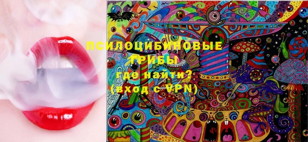 стафф Инта