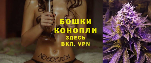 гидропоника Иннополис