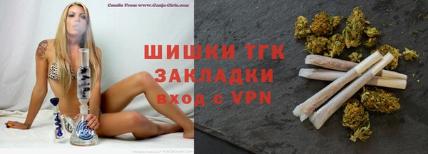 стаф Инсар