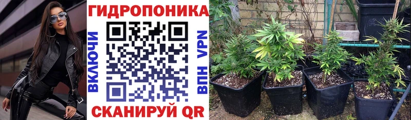 Конопля планчик Купить Иноземцево